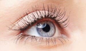 LVL Lash Lift Voucher