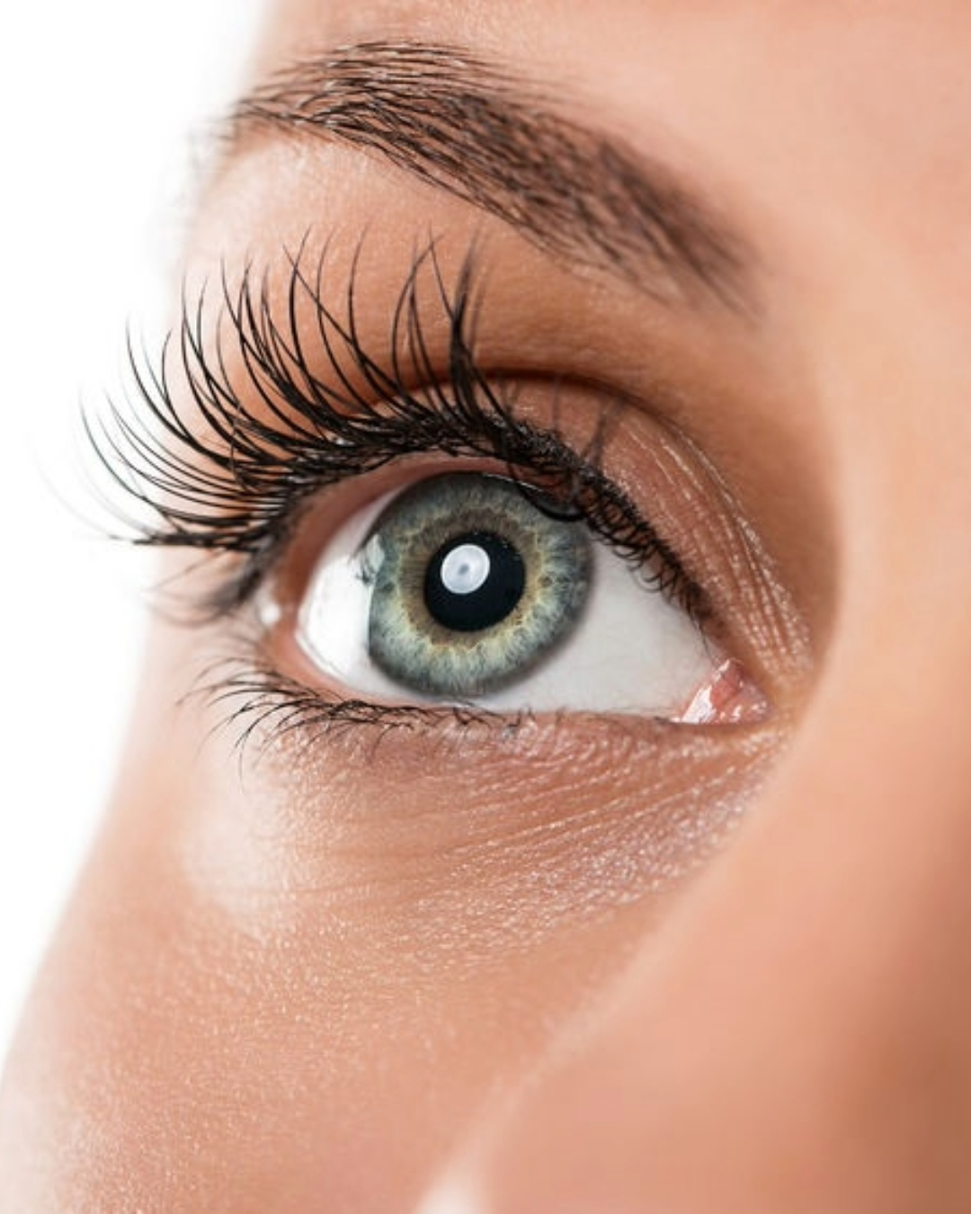 Professional Lash Services Near Me Professional Lash Services Near Me